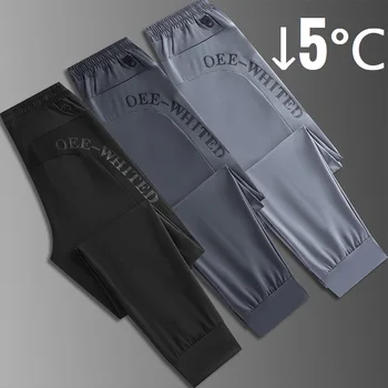 2023 Мужские спортивные штаны Ice Silk Летние стрейчевые брюки для бега трусцой Черные Серые прямые Крутые Спортивные тренировочные брюки большого размера Big Plus